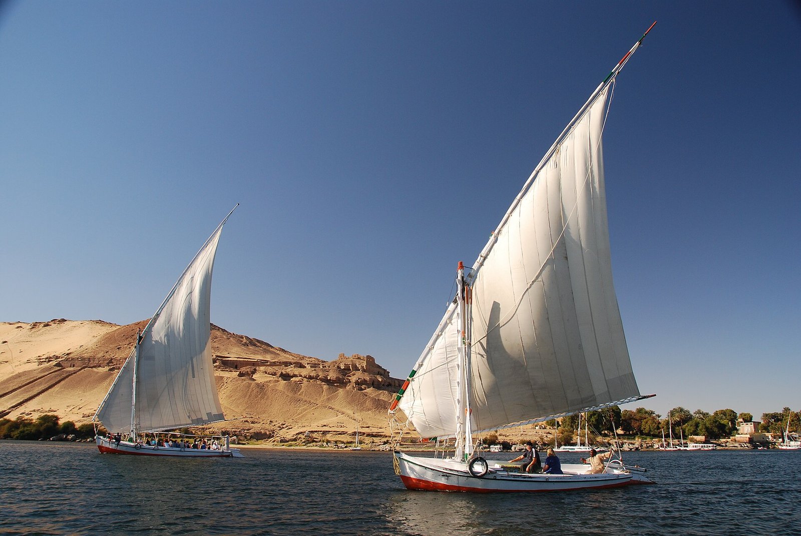 White-sailed feluccas gliding along the Nile at Aswan beneath the golden desert hills.