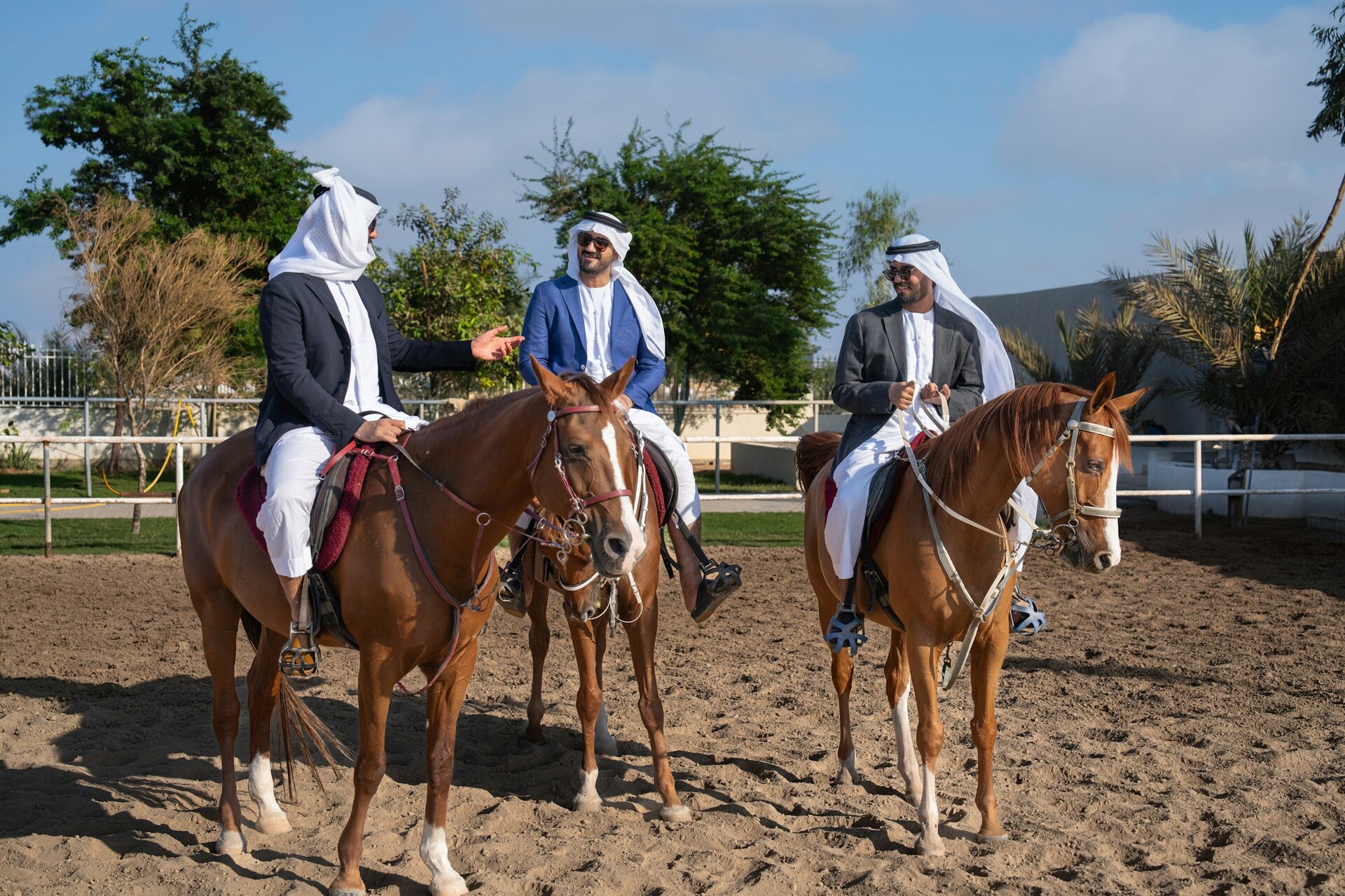Emirati riders on Arabian horses in a sand arena, UAE