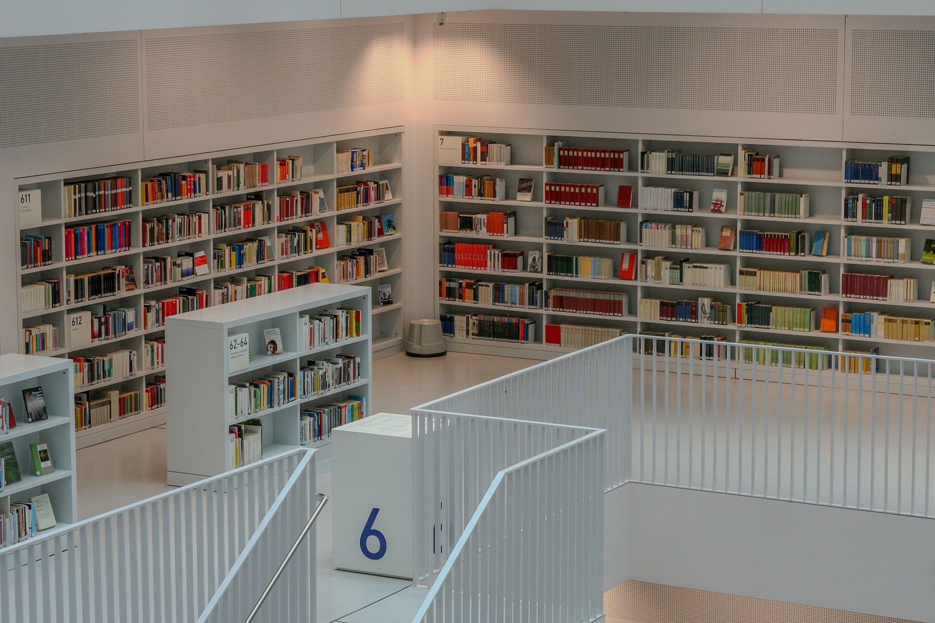 A bright modern library lined with bookshelves