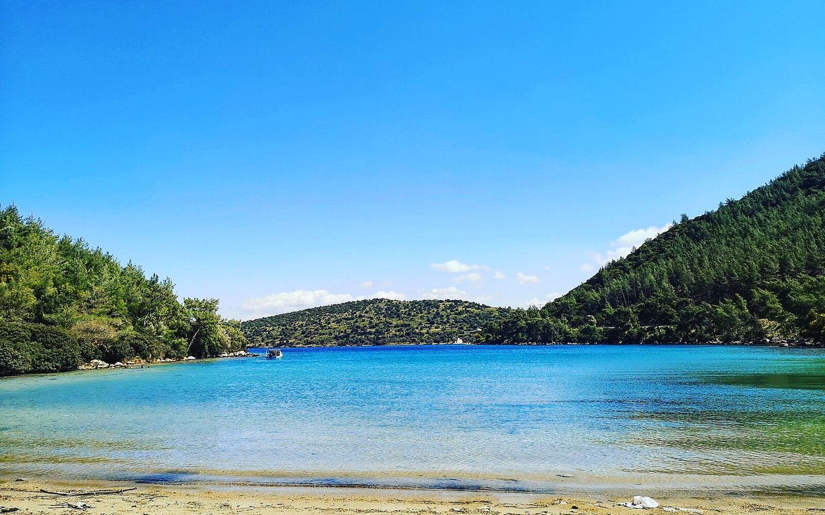 The sheltered turquoise waters of Cennet Koyu, the pine-ringed Paradise Bay on the Bodrum peninsula where Mandarin Oriental, Bodrum is set