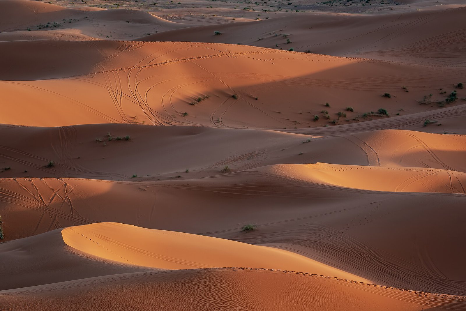 Sweeping sand dunes in warm evening light at Merzouga, on the edge of the Sahara in Morocco.