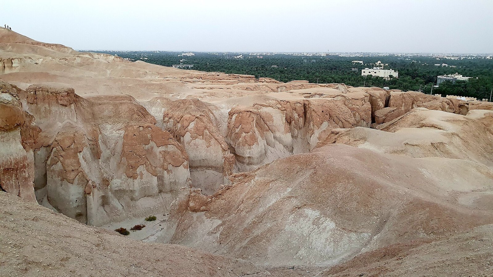 The eroded sandstone of Jabal Al-Qarah above the green palm groves of the Al-Ahsa Oasis.