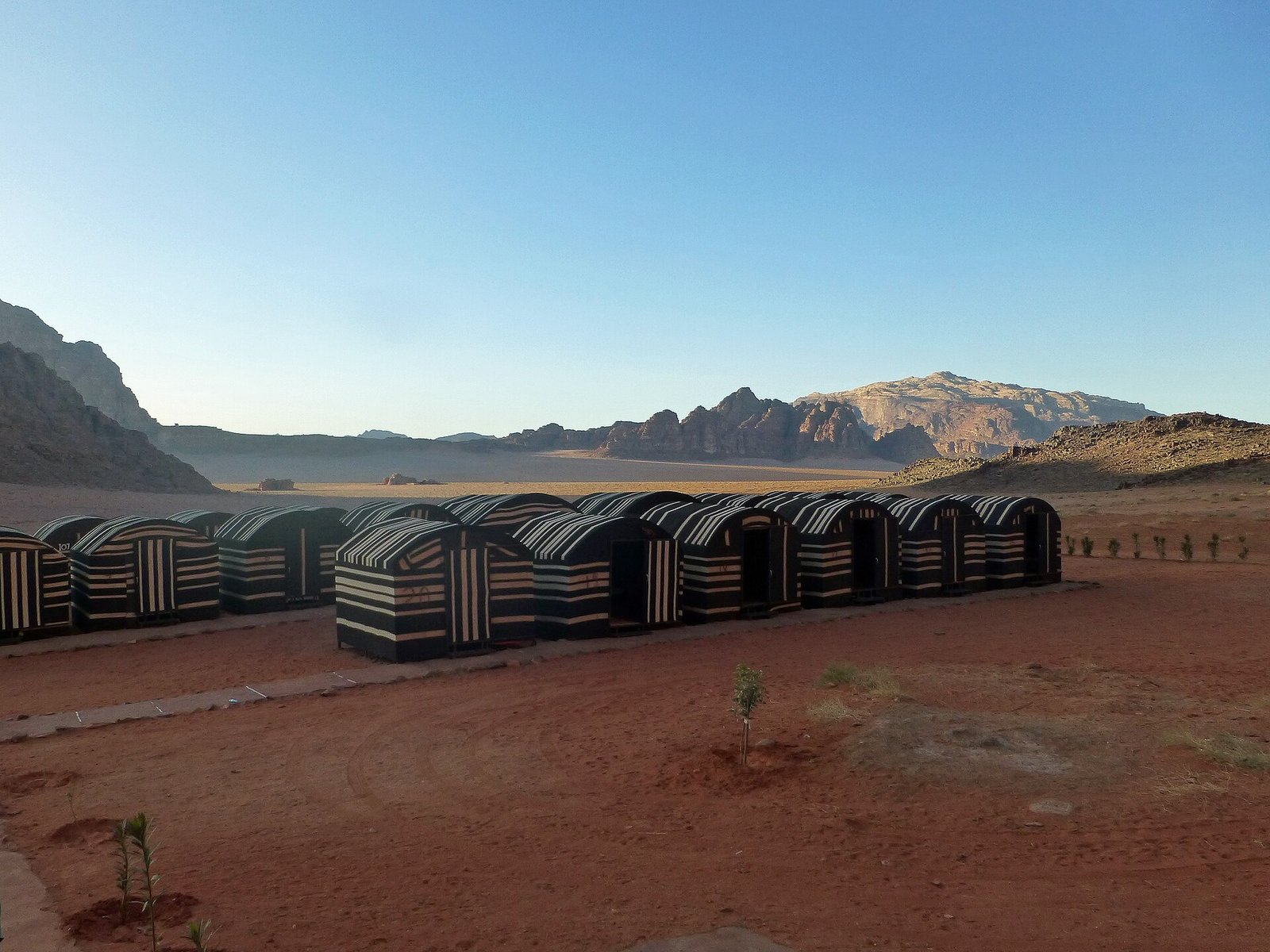 A row of Bedouin-style tents at a desert camp in Wadi Rum, Jordan, in soft early light