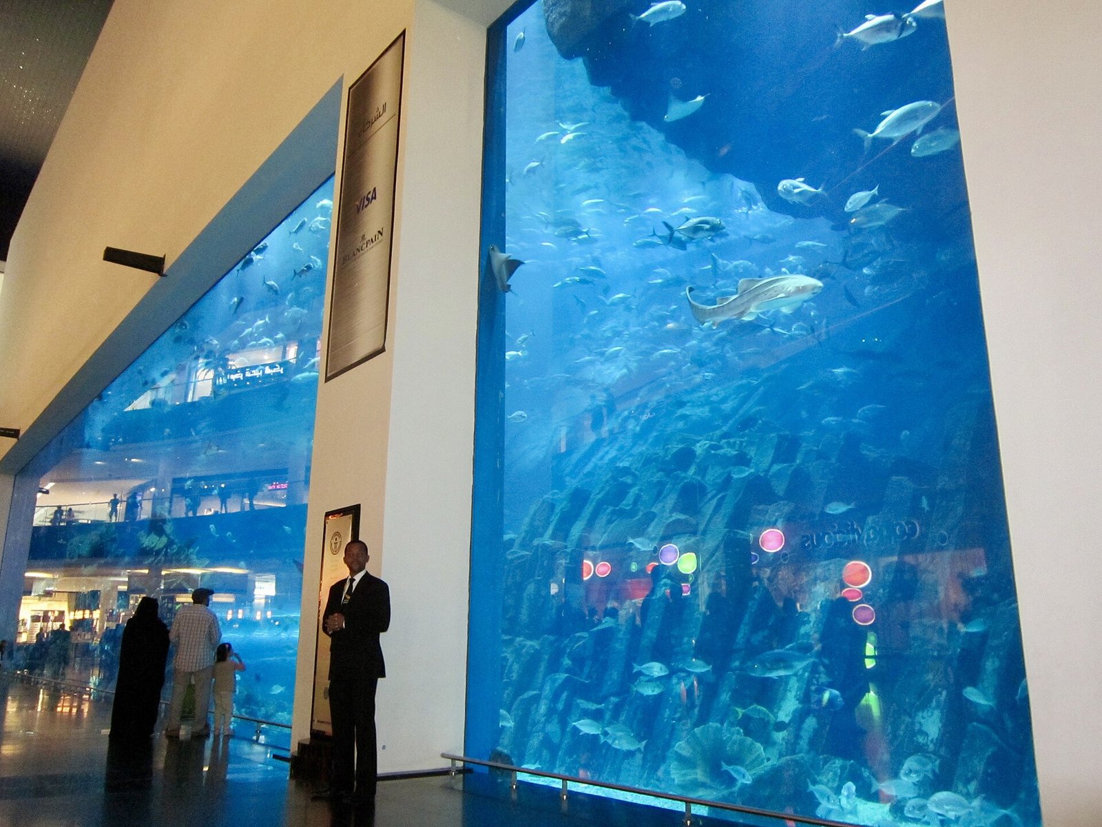 The great aquarium wall of The Dubai Mall, alive with rays, sharks and shoals of fish