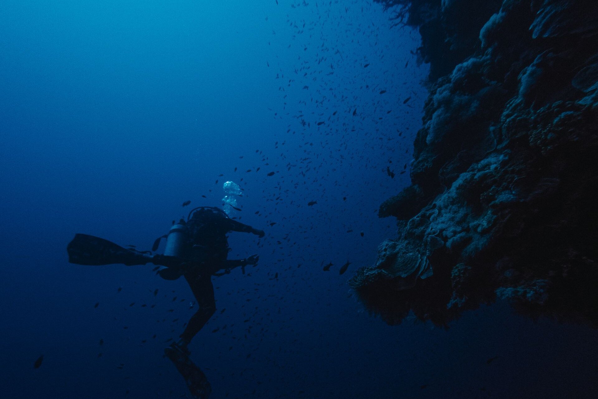 A diver beside a coral wall in deep blue water
