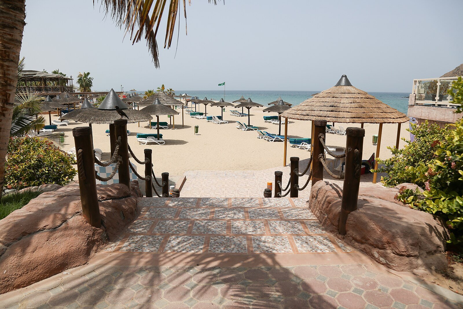 Thatched parasols and sun loungers on the golden sand of a Fujairah beach resort, with the Gulf of Oman beyond.