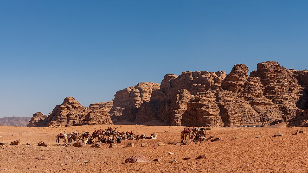 Camels resting on the red sand beneath the sculpted sandstone outcrops of Wadi Rum, Jordan.