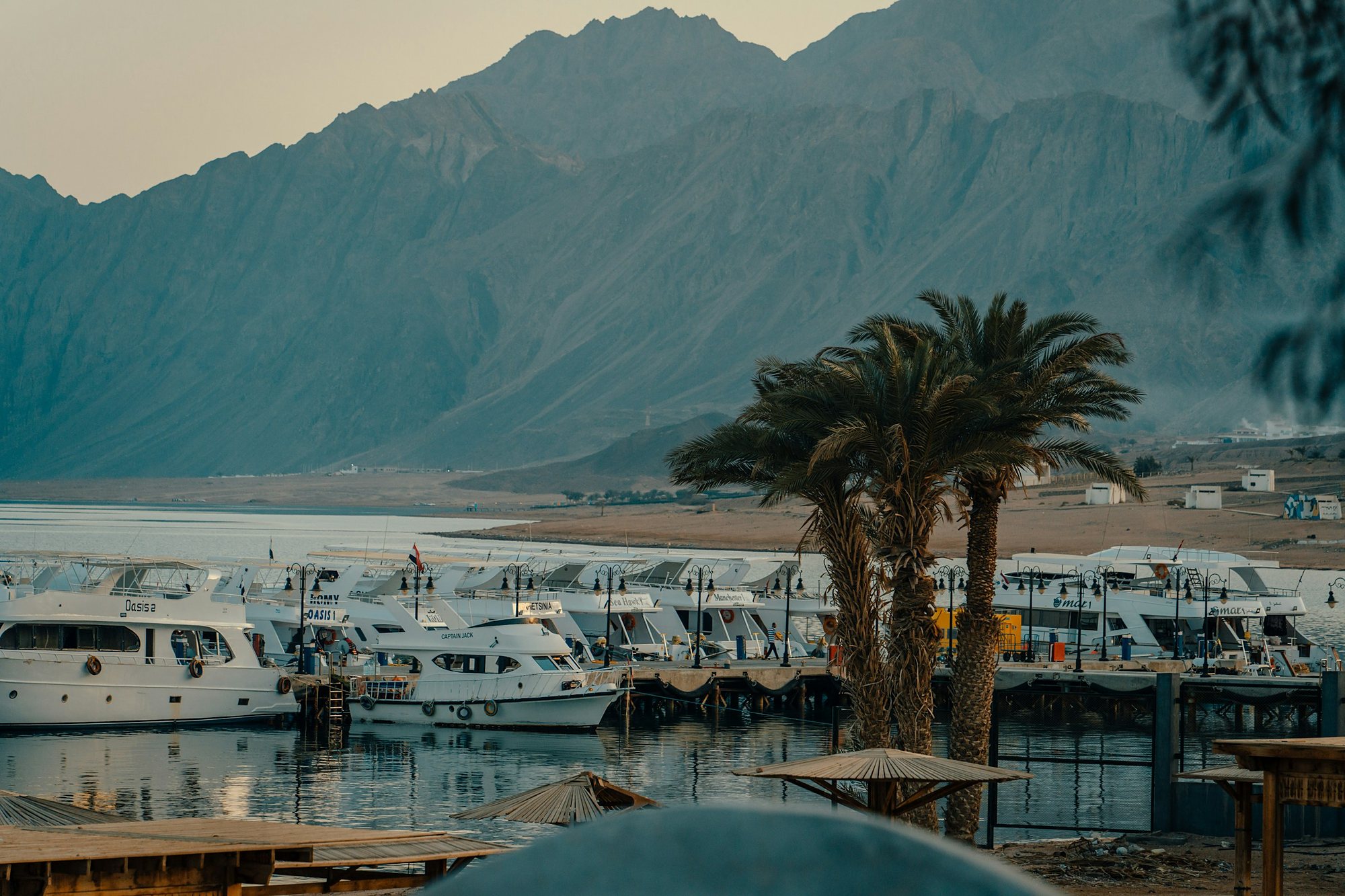 Dive boats and palms below the Sinai mountains in Dahab
