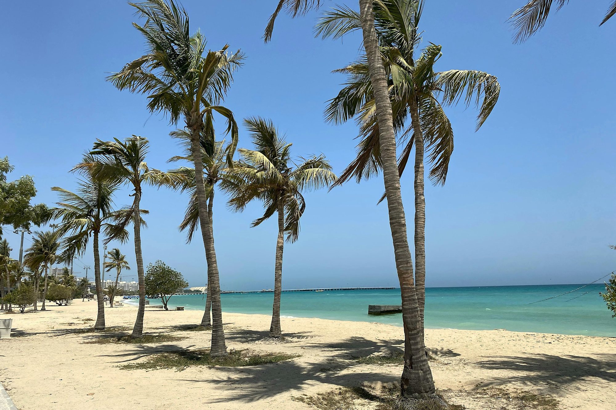 Palms on a white-sand beach above turquoise water on Kish Island