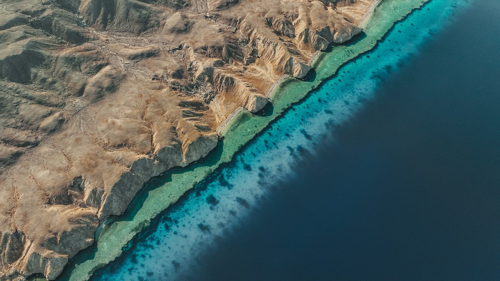 The Red Sea coast of NEOM from above, mountains running down to a reef-lined shore