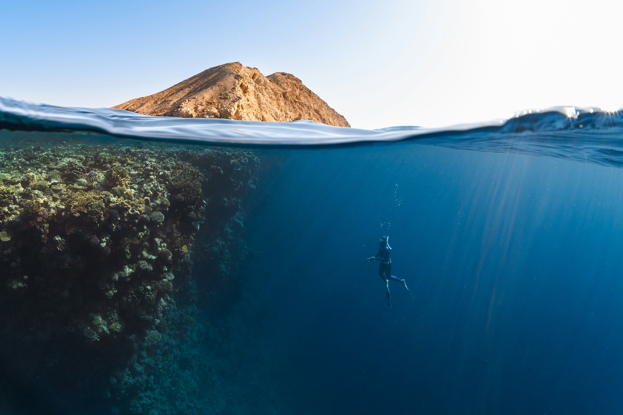 A freediver beside a coral wall below a desert peak in the Red Sea off NEOM