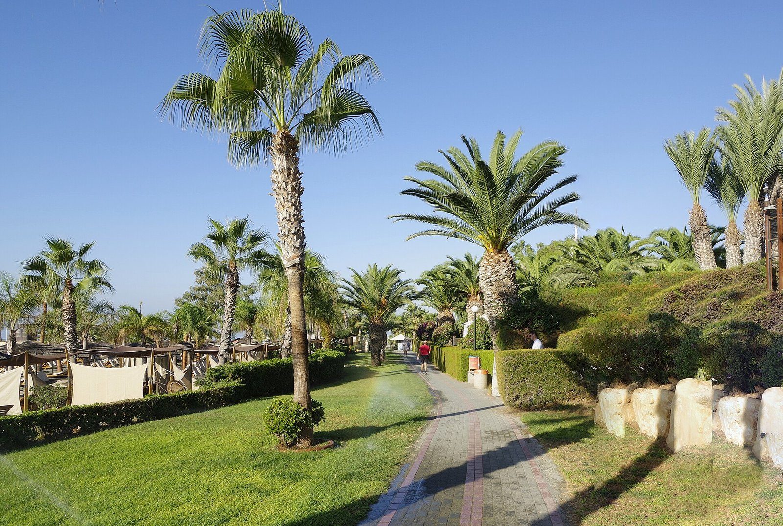 Palmeras y jardines a lo largo del paseo marítimo ajardinado de Limasol, Chipre