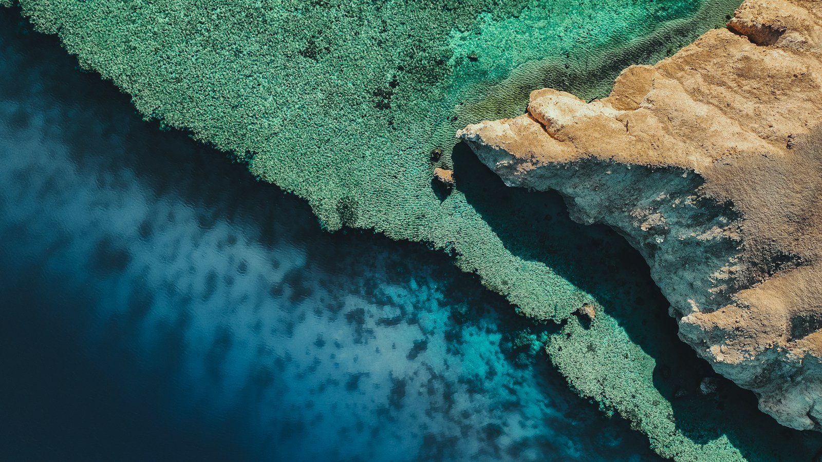 Arrecifes turquesas poco profundos que se funden con el azul intenso del Mar Rojo frente a NEOM