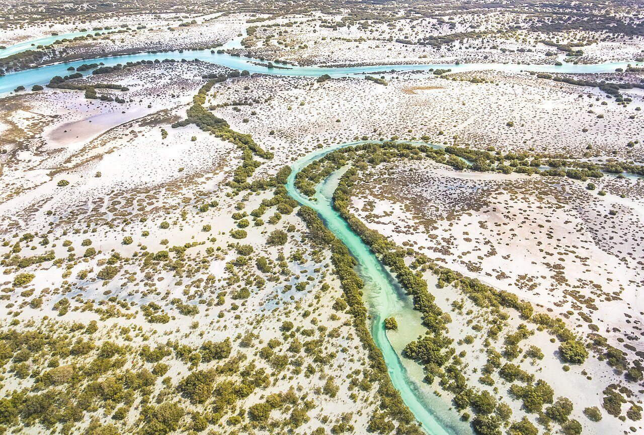 Canales turquesas que serpentean entre los manglares y las arenas blancas del Parque Nacional Marino de Saadiyat, vistos desde el aire.