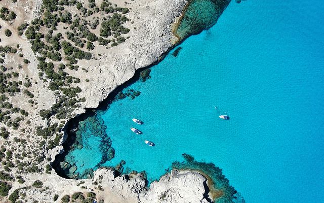 Anassa