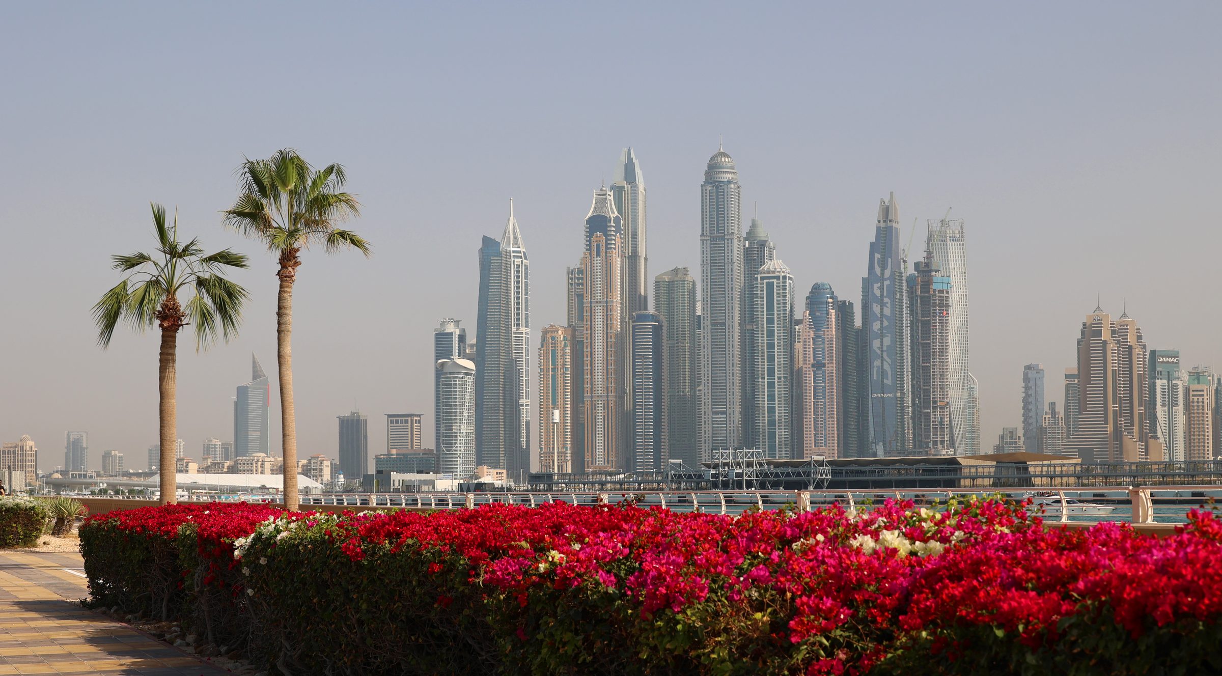 Las torres de Dubai Marina enmarcadas por palmeras y buganvillas