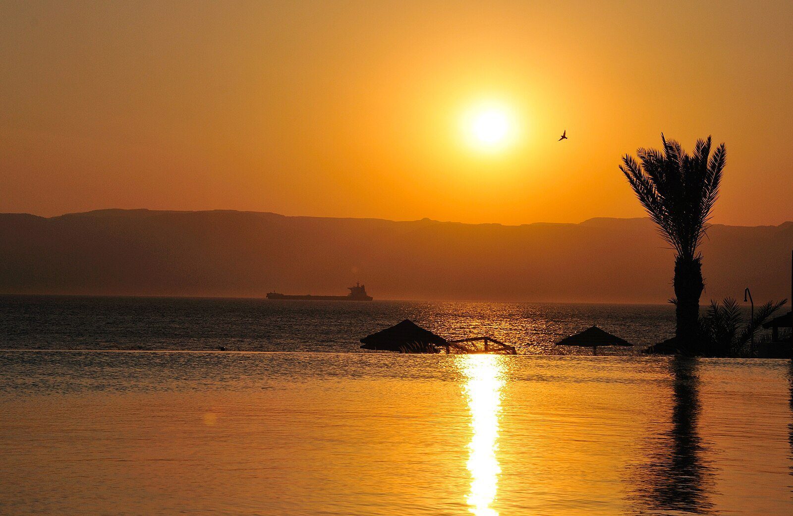 El sol poniéndose sobre el golfo de Aqaba en Tala Bay, con una palmera y sombrillas de paja recortadas sobre el agua.