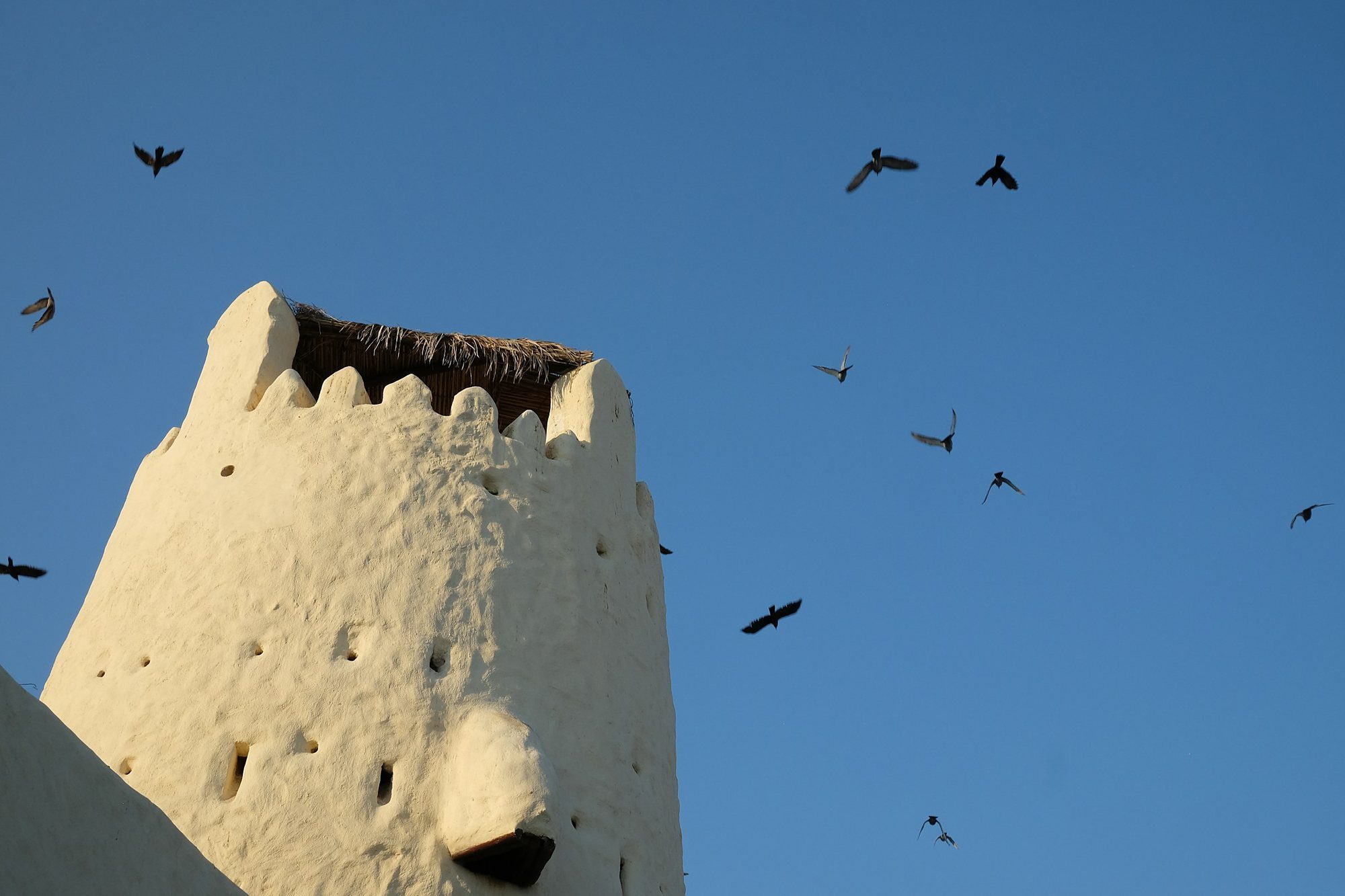 Aves sobrevolando una atalaya blanca del antiguo fuerte, Umm Al Quwain