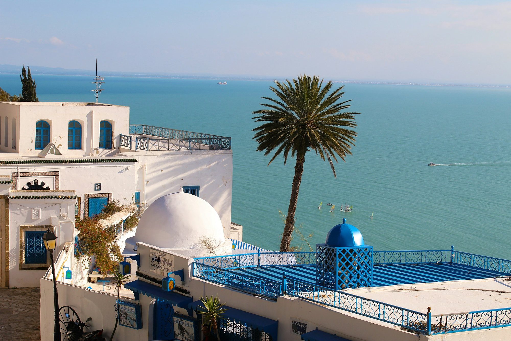 Terrazas azules y blancas y una palmera sobre el golfo de Túnez en Sidi Bou Said