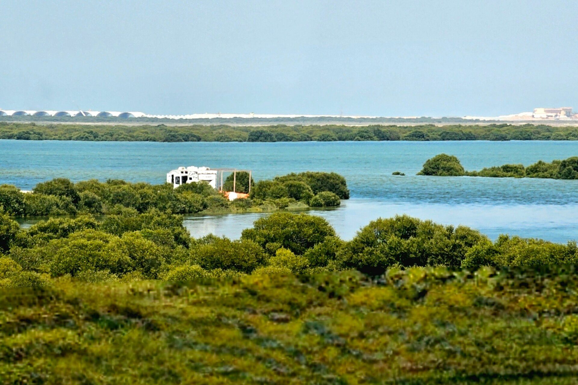 Manglares y aguas turquesas de la laguna, Umm Al Quwain