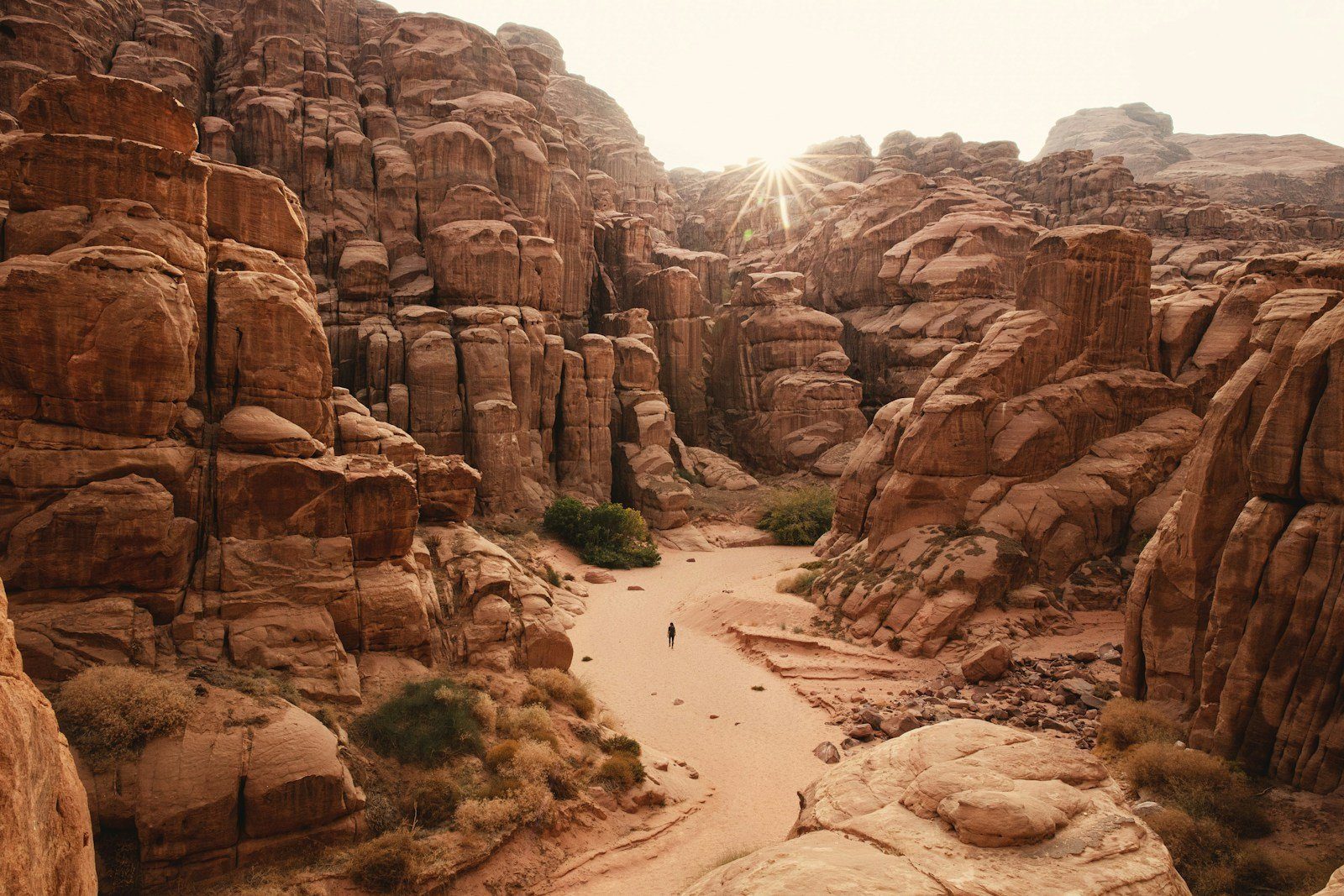 Un cañón de arenisca salpicado de palmeras en la región de Tabuk, en el noroeste de Arabia Saudí