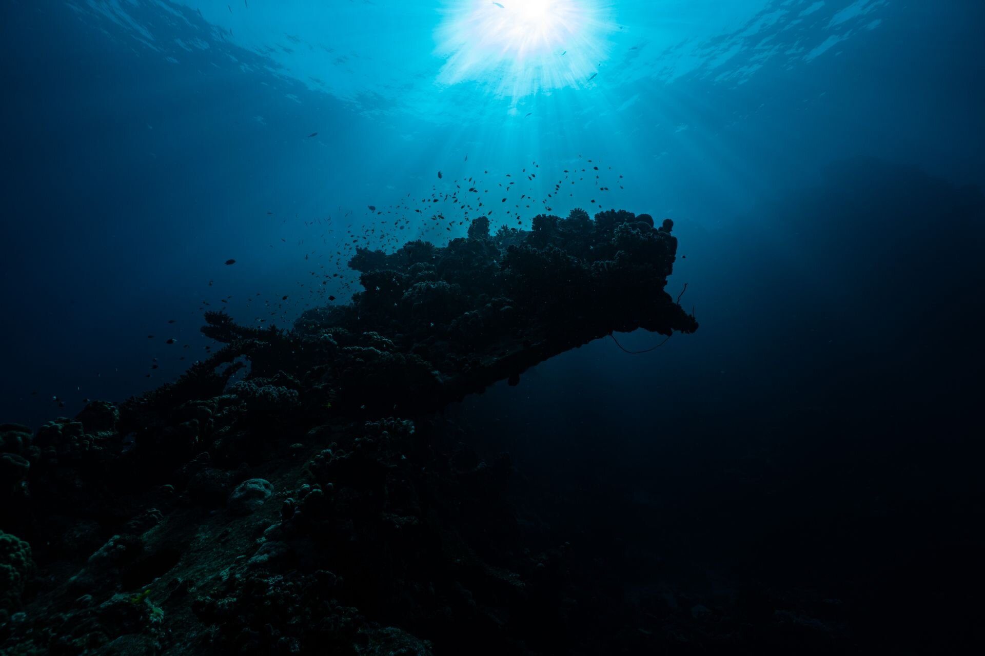 La luz del sol sobre un arrecife de coral en el Mar Rojo saudí