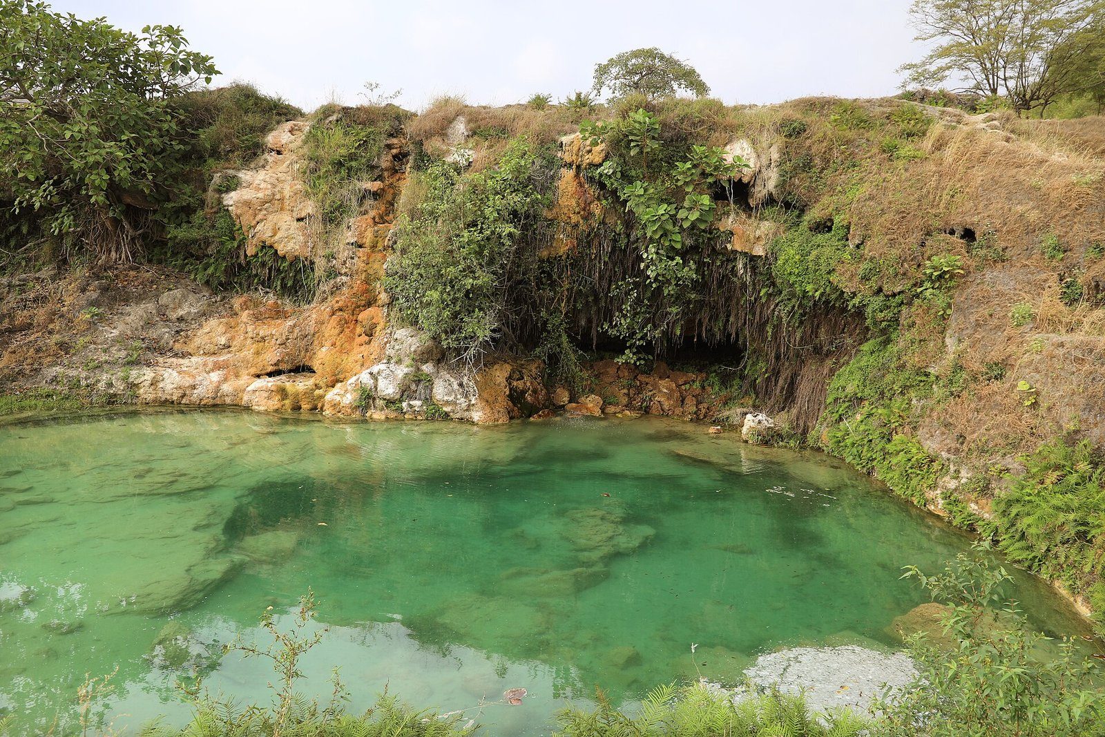 Una poza verde jade bajo acantilados de travertino y vegetación en Wadi Darbat, cerca de Salalah, en Omán.