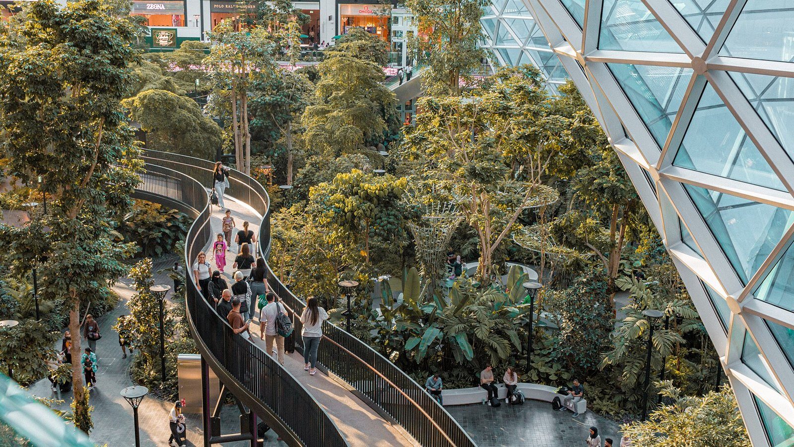 The Orchard, un jardín tropical interior con un sendero sinuoso, en el Aeropuerto Internacional Hamad, Doha
