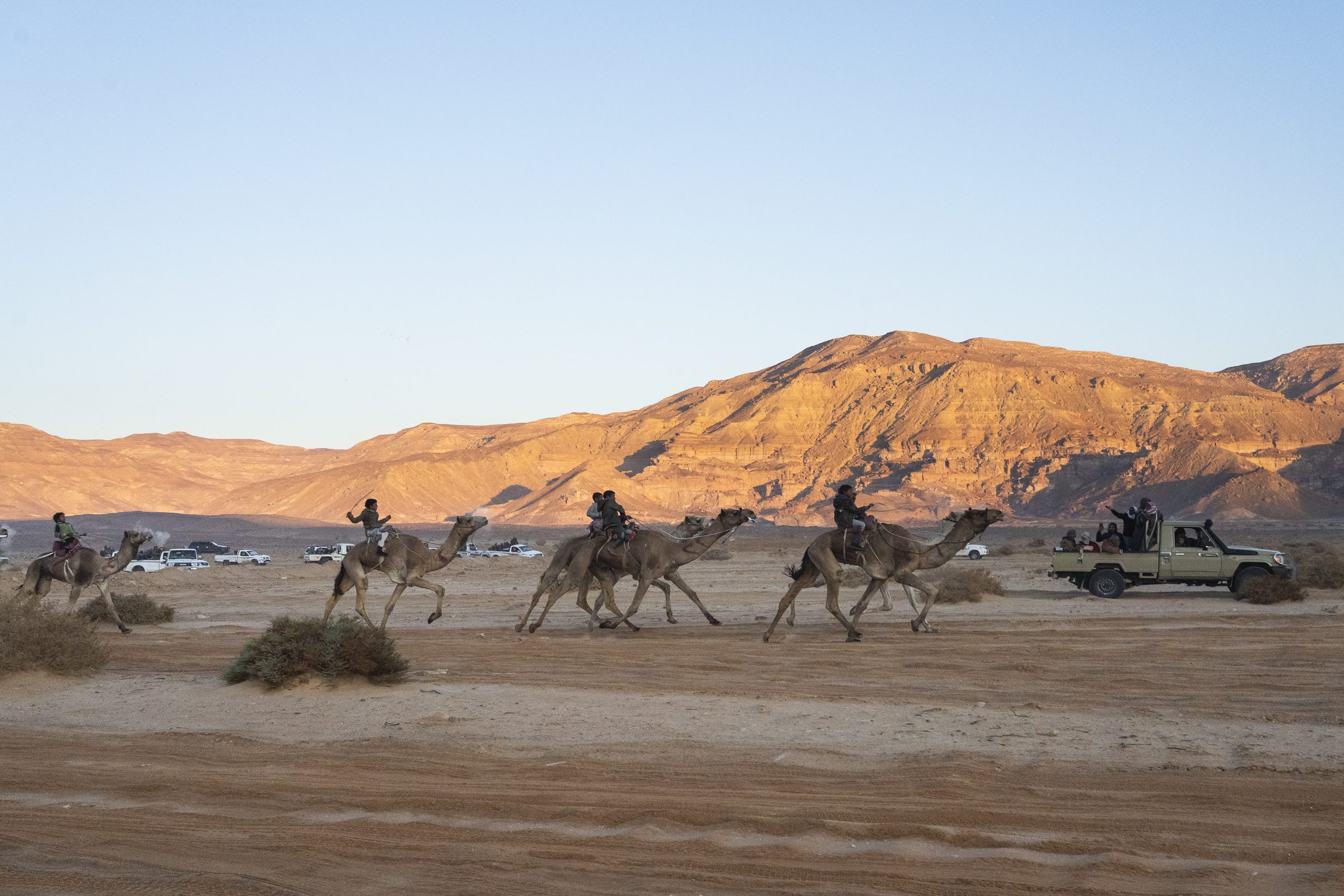 Jinetes en una carrera de camellos en el valle de Zalaga, en el Sinaí Meridional