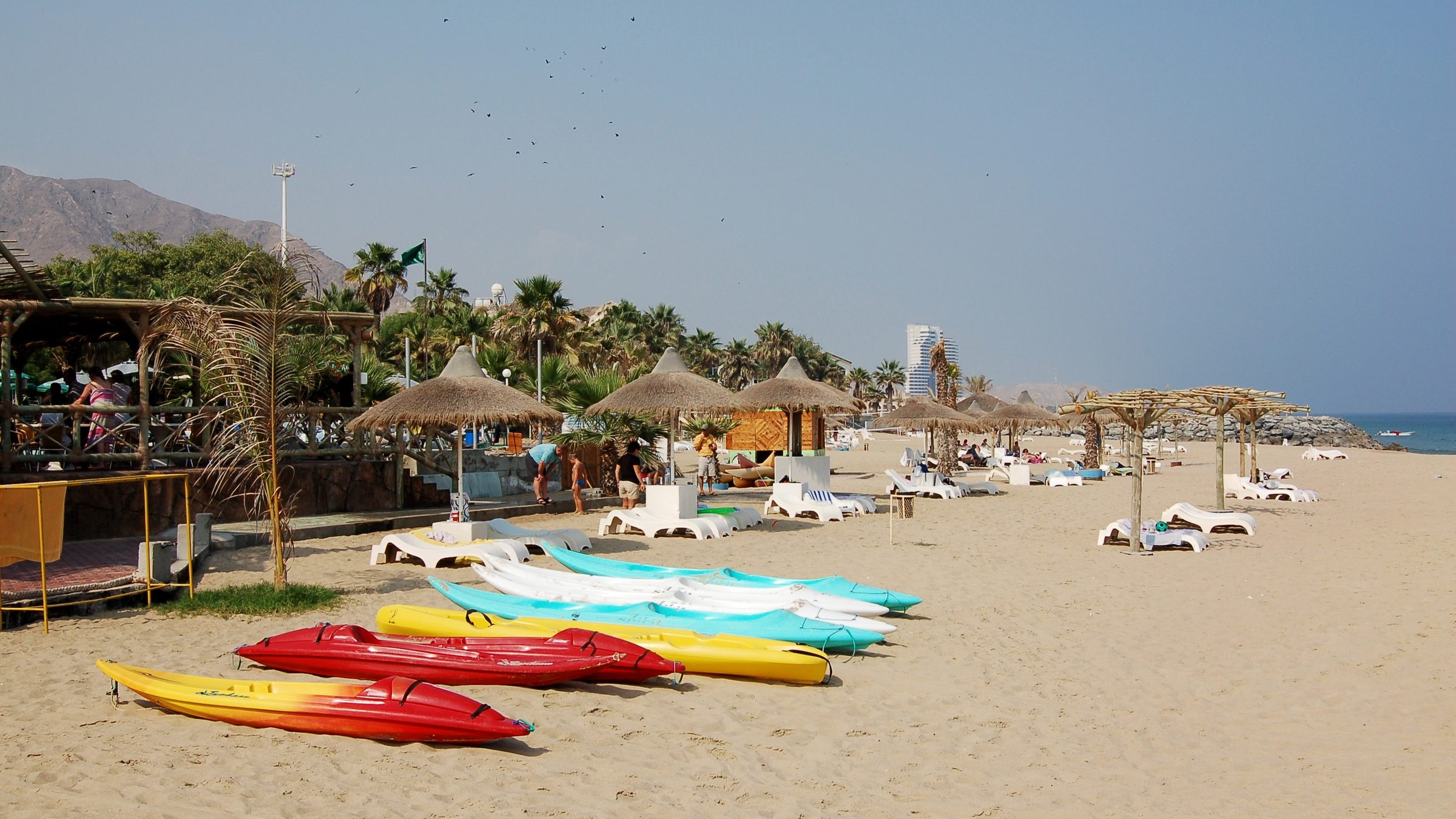 Tumbonas a la sombra de las palmeras y kayaks en la playa de Al Aqah, Fujairah