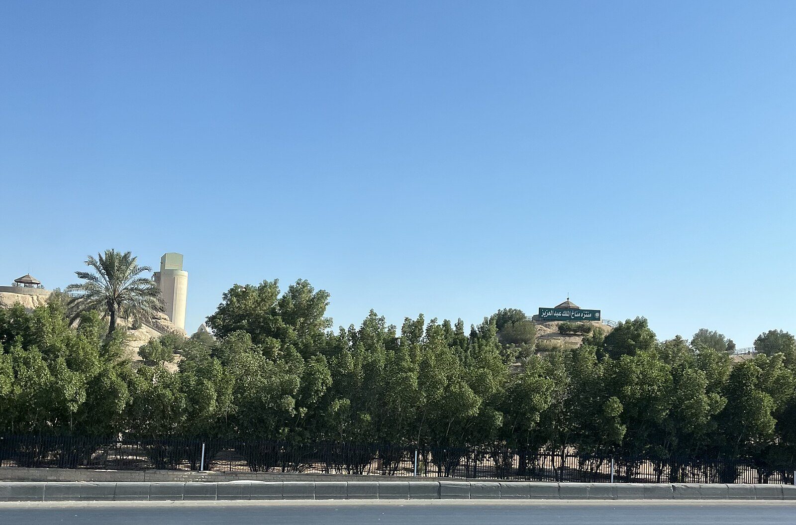 Árboles altos y palmeras bordean el césped del parque King Abdulaziz, en el centro de Riad, bajo un cielo azul despejado
