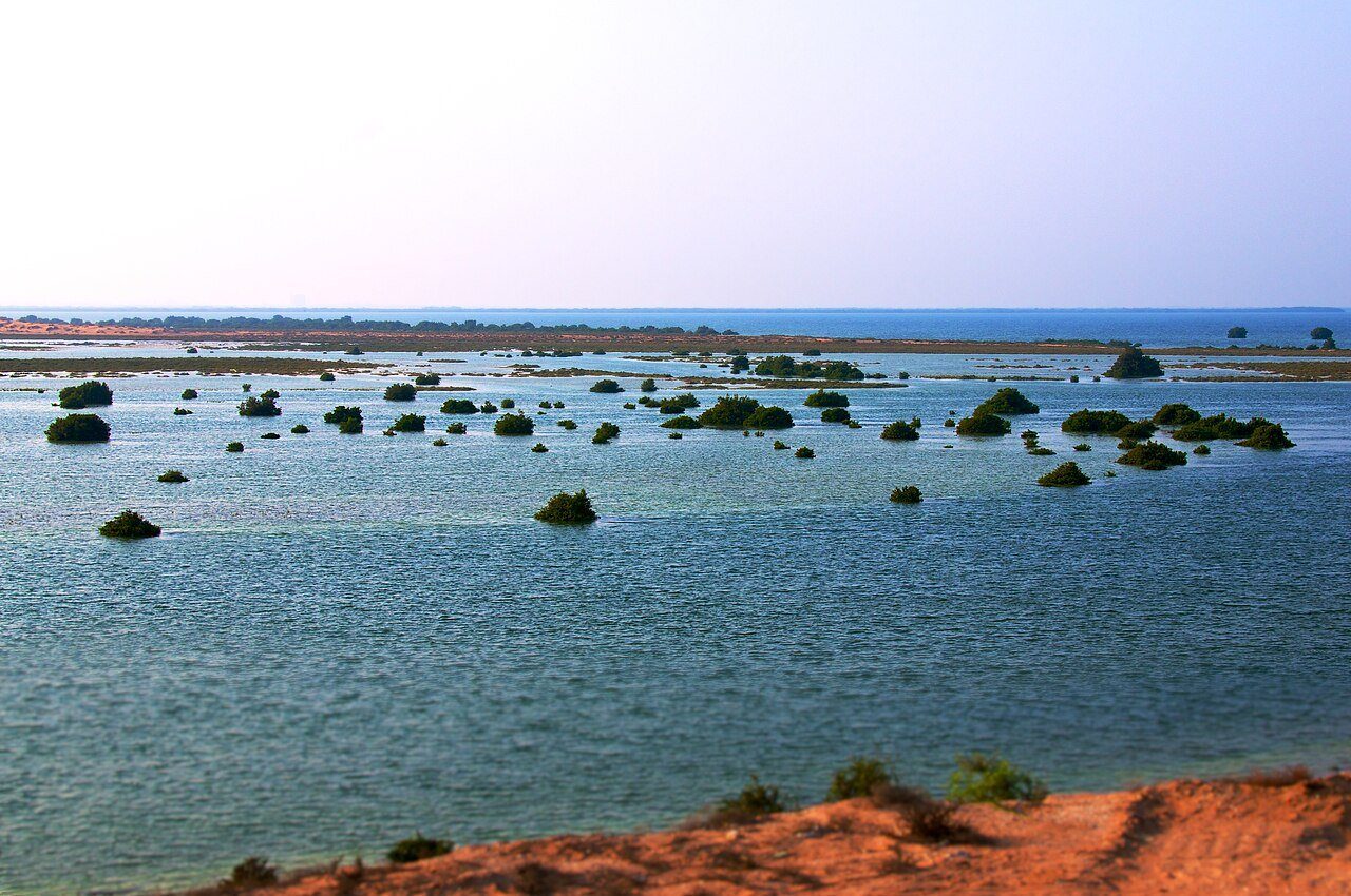 Islotes de manglar dispersos por la laguna turquesa de Umm Al Quwain, vistos desde una orilla de arena roja.