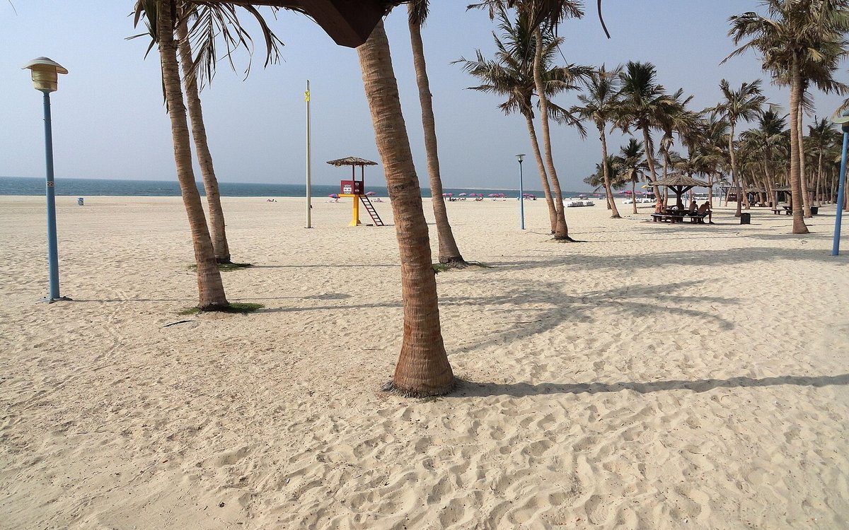 Palmeras que dan sombra a la arena blanca de Jumeirah Beach Park, en la misma costa de Jumeirah 2 que el Four Seasons Resort Dubai
